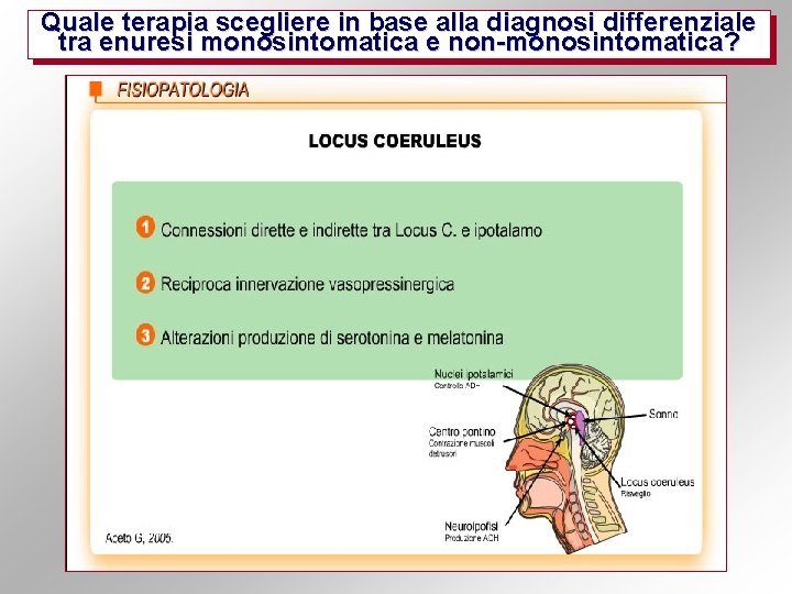 Quale terapia scegliere in base alla diagnosi differenziale tra enuresi monosintomatica e non-monosintomatica? 