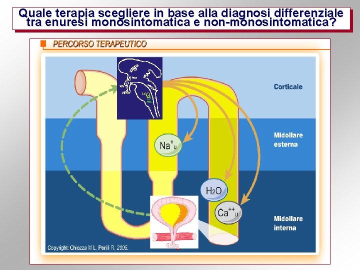 Quale terapia scegliere in base alla diagnosi differenziale tra enuresi monosintomatica e non-monosintomatica? 