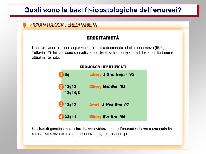 Quali sono le basi fisiopatologiche dell’enuresi? 
