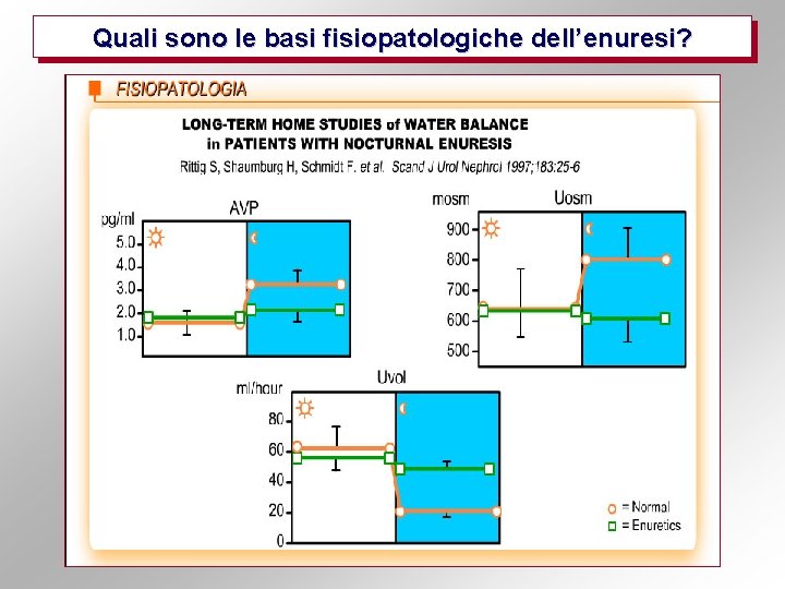 Quali sono le basi fisiopatologiche dell’enuresi? 