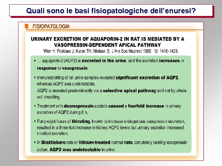 Quali sono le basi fisiopatologiche dell’enuresi? 
