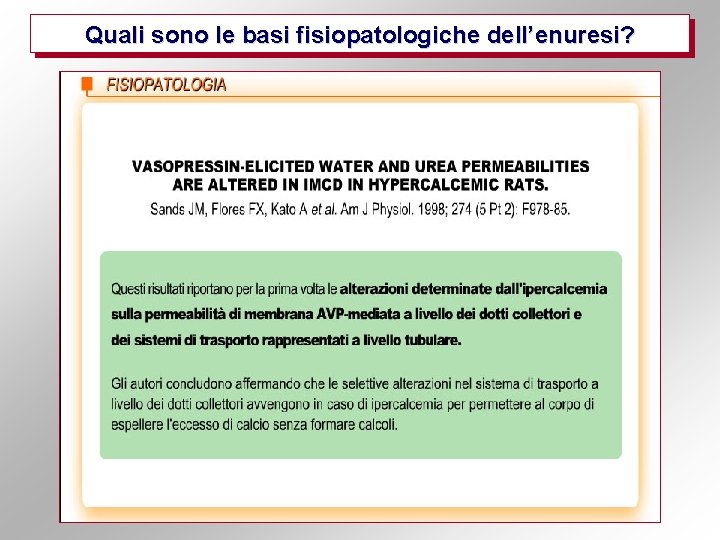 Quali sono le basi fisiopatologiche dell’enuresi? 