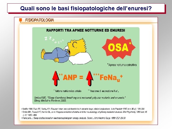 Quali sono le basi fisiopatologiche dell’enuresi? 