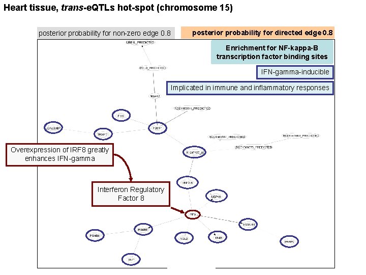 Heart tissue, trans-e. QTLs hot-spot (chromosome 15) posterior probability for non-zero edge 0. 8