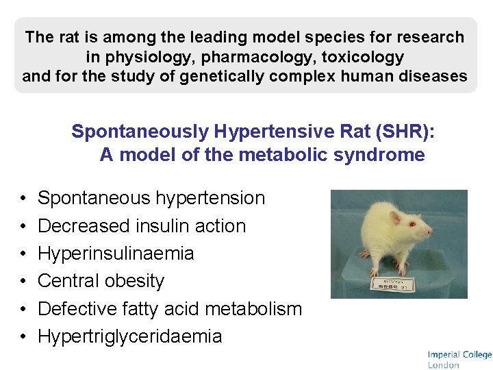 The rat is among the leading model species for research in physiology, pharmacology, toxicology