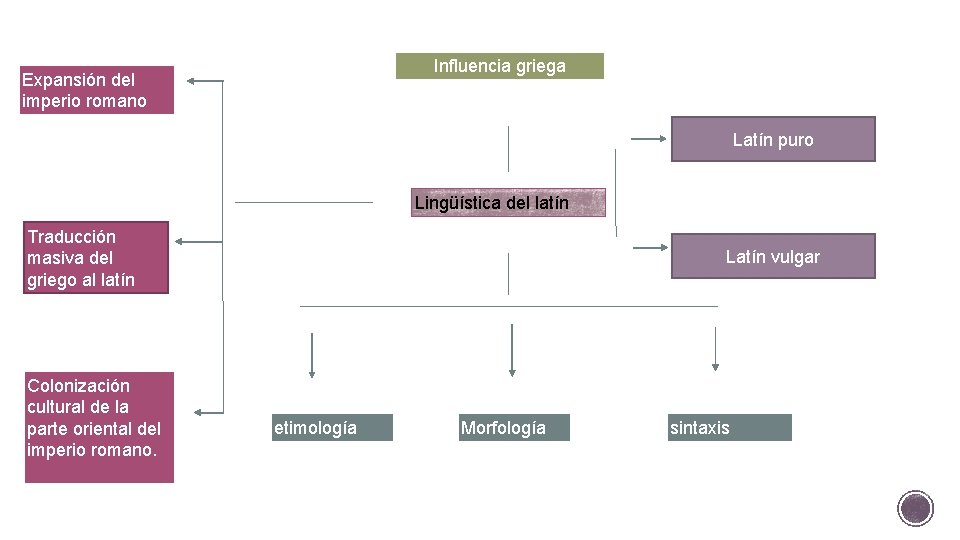 Influencia griega Expansión del imperio romano Latín puro Lingüística del latín Traducción masiva del