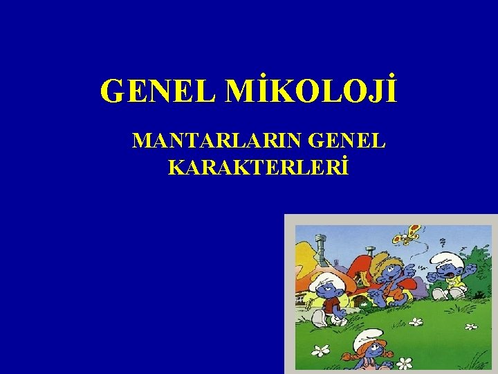 GENEL MİKOLOJİ MANTARLARIN GENEL KARAKTERLERİ 