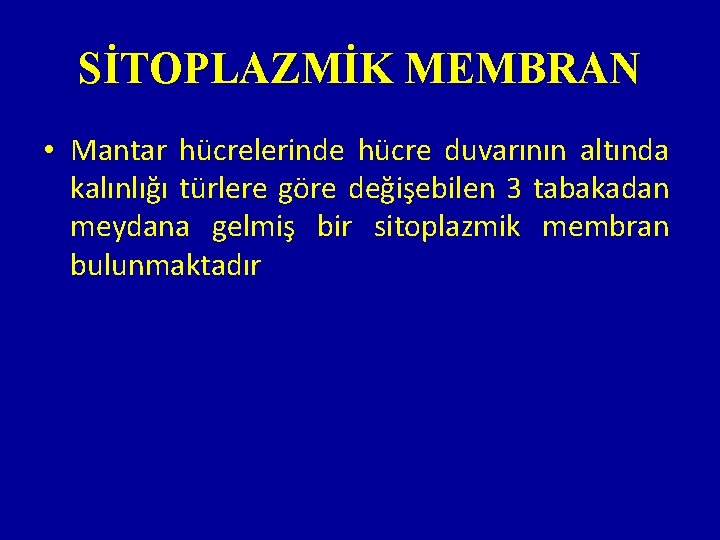 SİTOPLAZMİK MEMBRAN • Mantar hücrelerinde hücre duvarının altında kalınlığı türlere göre değişebilen 3 tabakadan