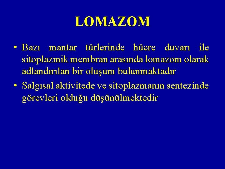 LOMAZOM • Bazı mantar türlerinde hücre duvarı ile sitoplazmik membran arasında lomazom olarak adlandırılan