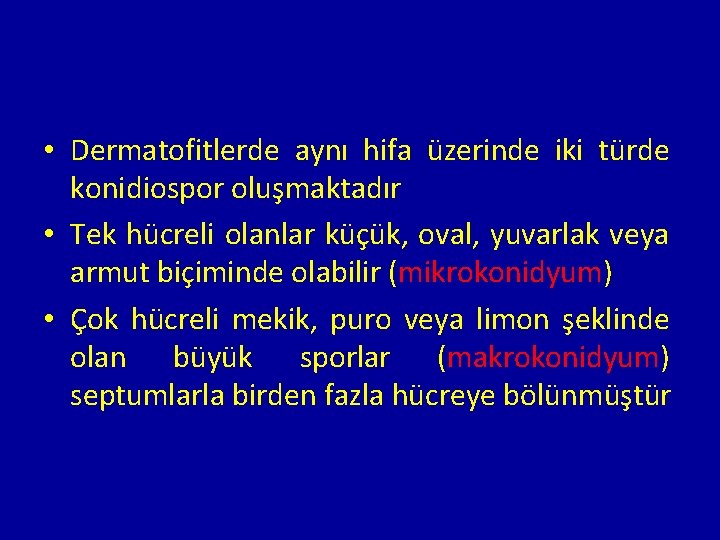  • Dermatofitlerde aynı hifa üzerinde iki türde konidiospor oluşmaktadır • Tek hücreli olanlar