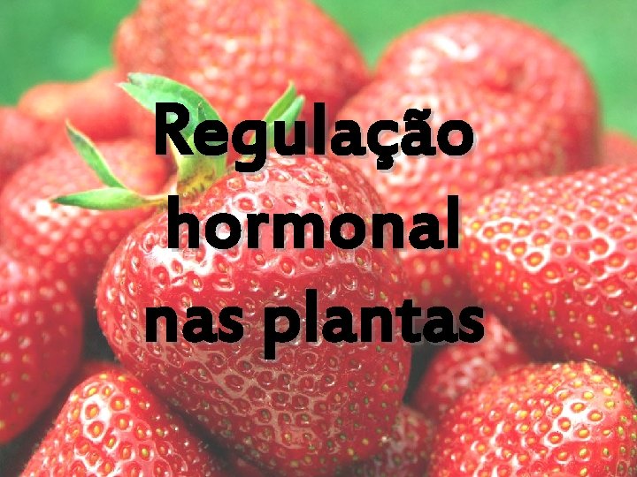 Regulação hormonal nas plantas 