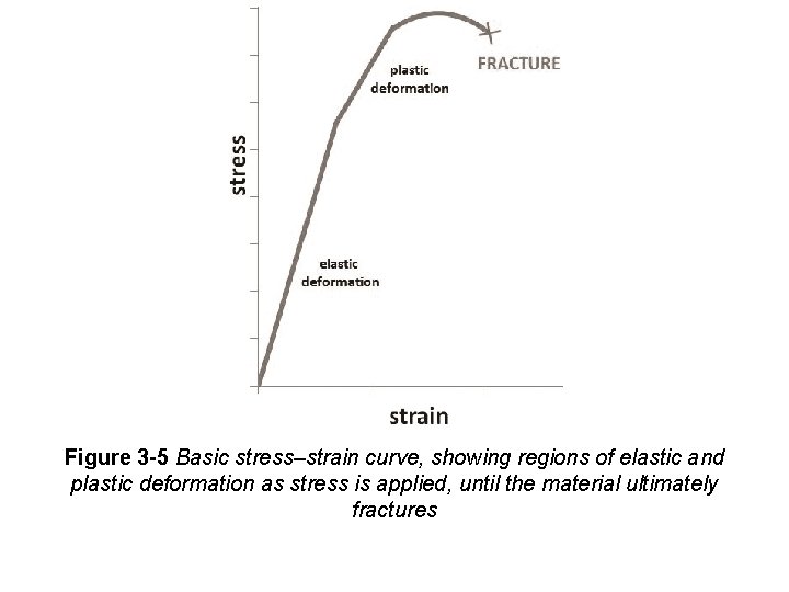 Figure 3 -5 Basic stress–strain curve, showing regions of elastic and plastic deformation as Figure 3 -5 Basic stress–strain curve, showing regions of elastic and plastic deformation as
