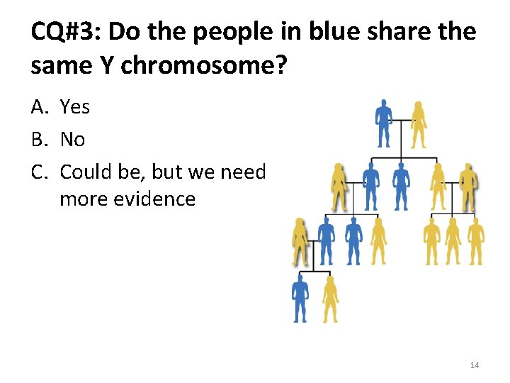 CQ#3: Do the people in blue share the same Y chromosome? A. Yes B.