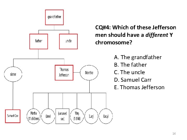 CQ#4: Which of these Jefferson men should have a different Y chromosome? A. The