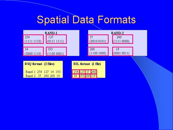 Spatial Data Formats 254 (1111 1110) BAND-1 127 (0111 1111) 37 (0010 0101) BAND-2