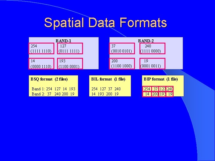 Spatial Data Formats 254 (1111 1110) BAND-1 127 (0111 1111) 37 (0010 0101) BAND-2