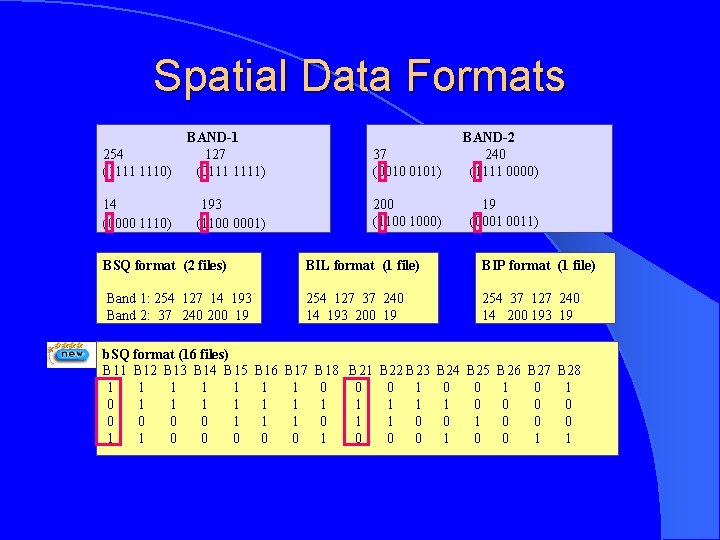 Spatial Data Formats 254 (1111 1110) BAND-1 127 (0111 1111) 37 (0010 0101) BAND-2