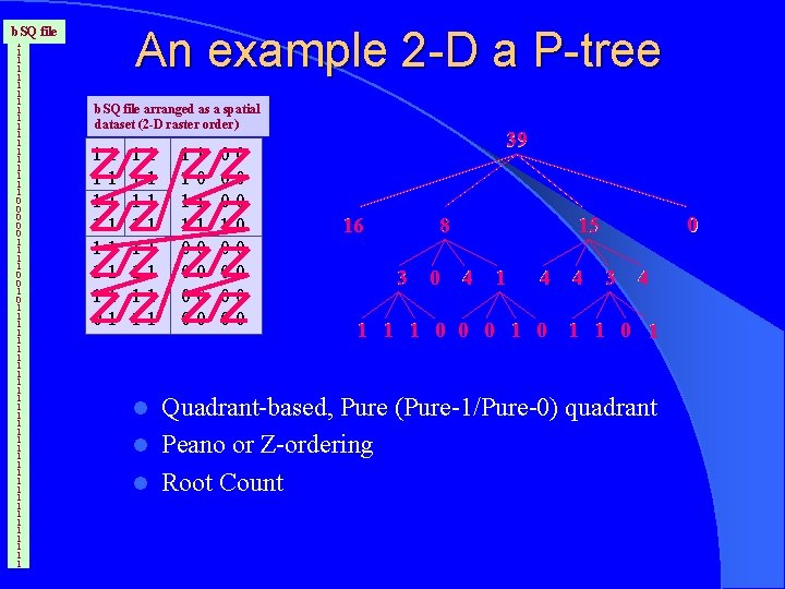 An example 2 -D a P-tree b. SQ file 1 1 1 1 1