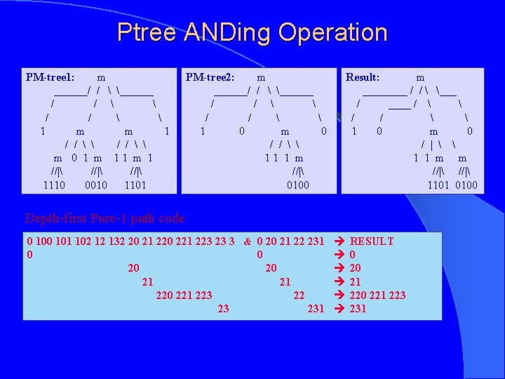 Ptree ANDing Operation PM-tree 1: m ______/ /  ______ / /  