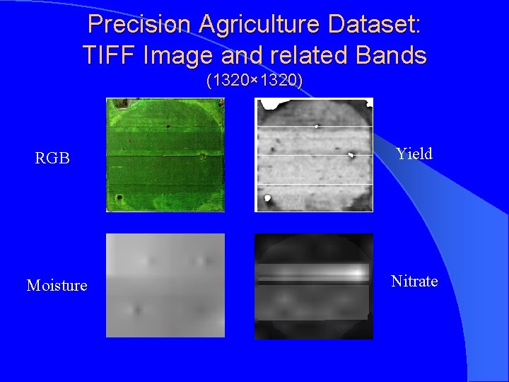 Precision Agriculture Dataset: TIFF Image and related Bands (1320× 1320) RGB Yield Moisture Nitrate