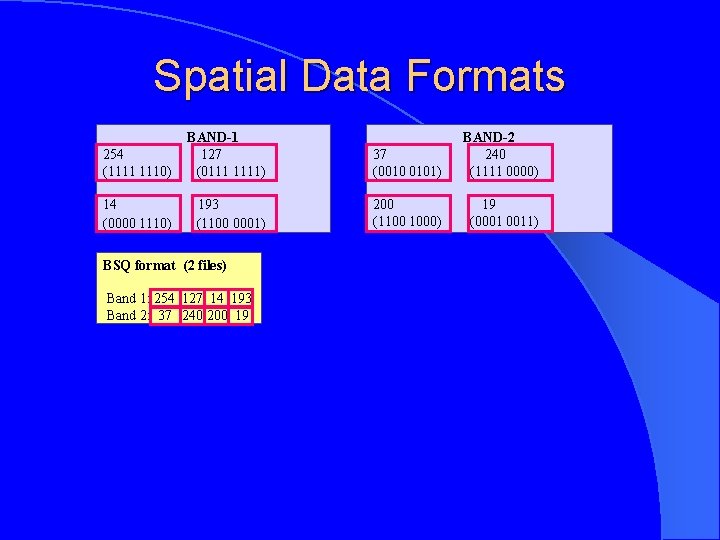 Spatial Data Formats 254 (1111 1110) BAND-1 127 (0111 1111) 37 (0010 0101) BAND-2