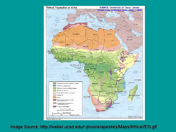 Image Source: http: //weber. ucsd. edu/~jmoore/apesites/Maps/Africa. VEG. gif 