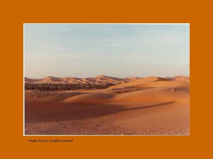 Image Source: Jonathan Leonard 