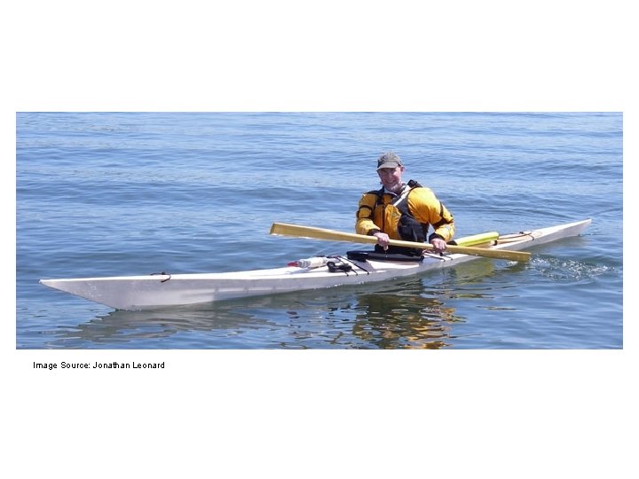 Image Source: Jonathan Leonard 