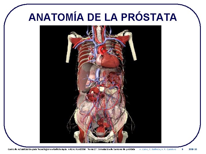 ANATOMÍA DE LA PRÓSTATA Curso de Actualización para Tecnólogos en Radioterapia. ARCAL RLA 6/058