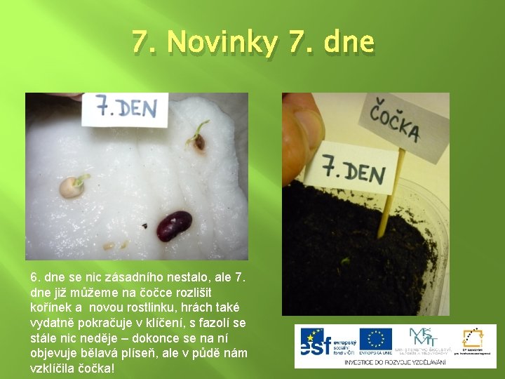 7. Novinky 7. dne 6. dne se nic zásadního nestalo, ale 7. dne již