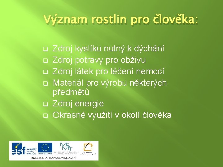 Význam rostlin pro člověka: q q q Zdroj kyslíku nutný k dýchání Zdroj potravy
