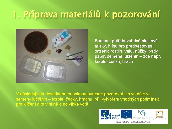 1. Příprava materiálů k pozorování Budeme potřebovat dvě plastové misky, hlínu pro předpěstování sazenic