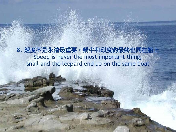 8. 速度不是永遠最重要，蝸牛和印度豹最終也同在船上 Speed is never the most important thing, snail and the leopard end