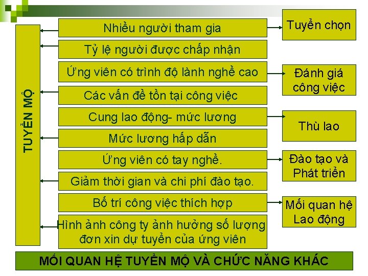 Nhiều người tham gia Tuyển chọn Tỷ lệ người được chấp nhận TUYỂNMỘ MỘ