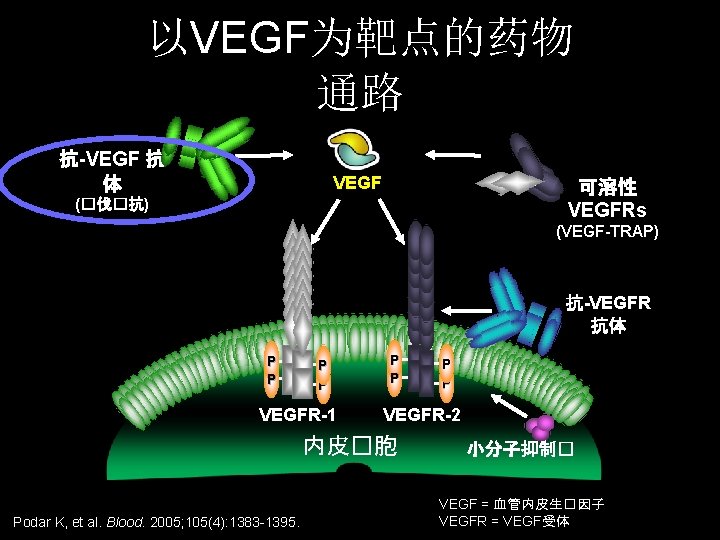 以VEGF为靶点的药物 通路 抗-VEGF 抗 体 VEGF 可溶性 VEGFRs (�伐�抗) (VEGF-TRAP) 抗-VEGFR 抗体 P P 以VEGF为靶点的药物 通路 抗-VEGF 抗 体 VEGF 可溶性 VEGFRs (�伐�抗) (VEGF-TRAP) 抗-VEGFR 抗体 P P