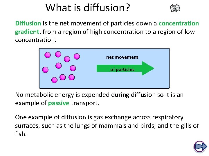 What is diffusion? Diffusion is the net movement of particles down a concentration gradient: