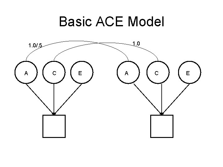 Basic ACE Model 1. 0/. 5 A C E Basic ACE Model 1. 0/. 5 A C E
