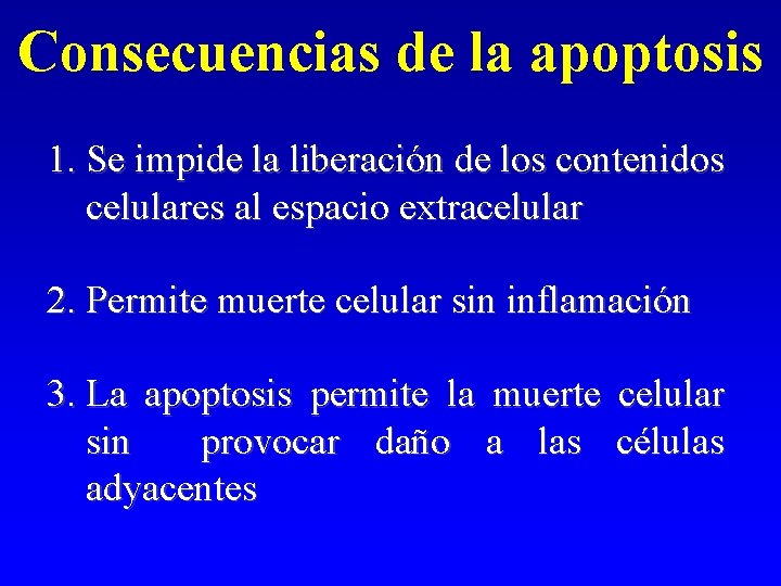 Consecuencias de la apoptosis 1. Se impide la liberación de los contenidos celulares al Consecuencias de la apoptosis 1. Se impide la liberación de los contenidos celulares al
