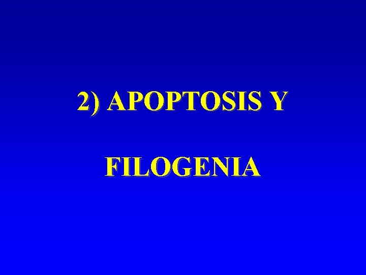 2) APOPTOSIS Y FILOGENIA 2) APOPTOSIS Y FILOGENIA