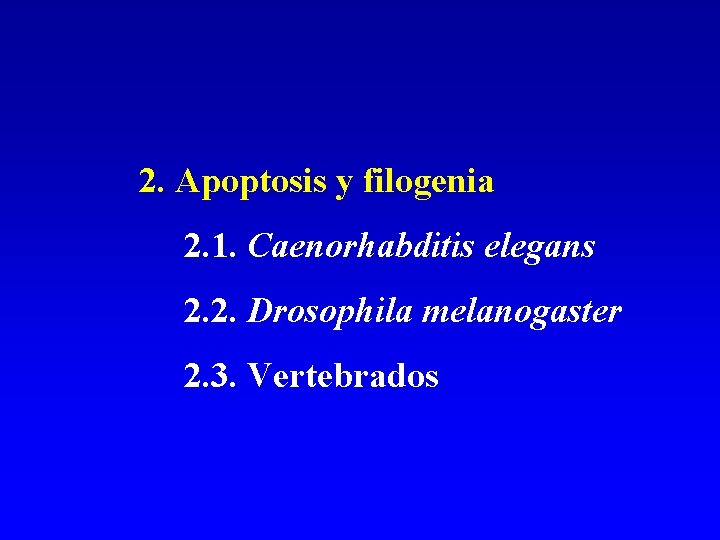 2. Apoptosis y filogenia 2. 1. Caenorhabditis elegans 2. 2. Drosophila melanogaster 2. 3. 2. Apoptosis y filogenia 2. 1. Caenorhabditis elegans 2. 2. Drosophila melanogaster 2. 3.
