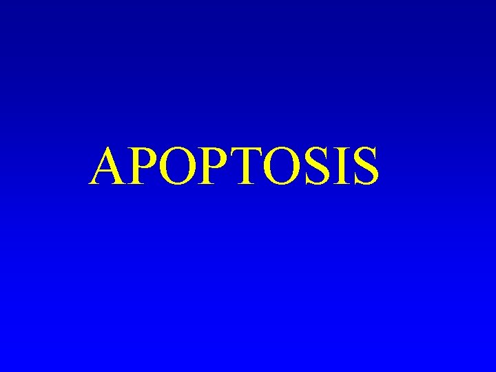 APOPTOSIS APOPTOSIS