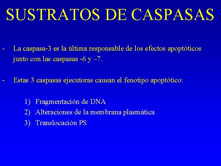 SUSTRATOS DE CASPASAS - La caspasa-3 es la última responsable de los efectos apoptóticos SUSTRATOS DE CASPASAS - La caspasa-3 es la última responsable de los efectos apoptóticos