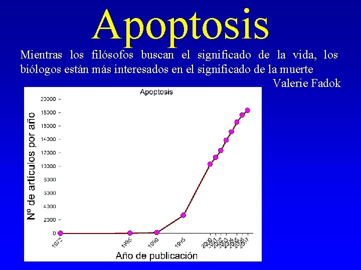 Apoptosis Mientras los filósofos buscan el significado de la vida, los biólogos están más Apoptosis Mientras los filósofos buscan el significado de la vida, los biólogos están más