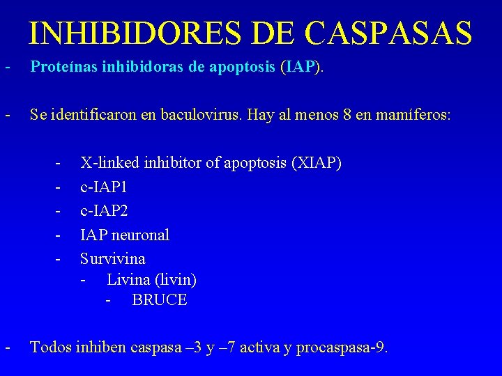INHIBIDORES DE CASPASAS - Proteínas inhibidoras de apoptosis (IAP). - Se identificaron en baculovirus. INHIBIDORES DE CASPASAS - Proteínas inhibidoras de apoptosis (IAP). - Se identificaron en baculovirus.