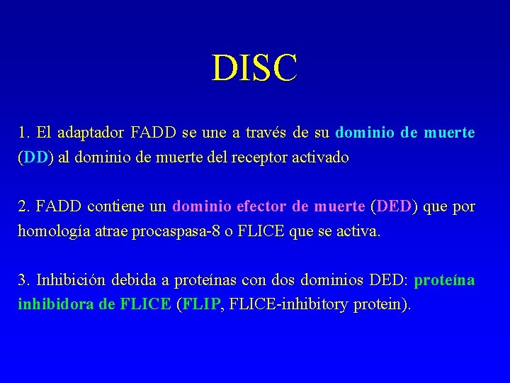 DISC 1. El adaptador FADD se une a través de su dominio de muerte DISC 1. El adaptador FADD se une a través de su dominio de muerte