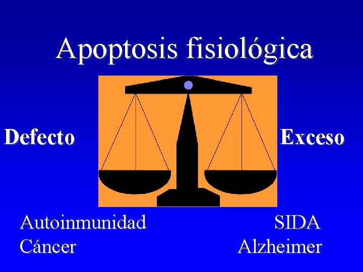 Apoptosis fisiológica Defecto Autoinmunidad Cáncer Exceso SIDA Alzheimer Apoptosis fisiológica Defecto Autoinmunidad Cáncer Exceso SIDA Alzheimer