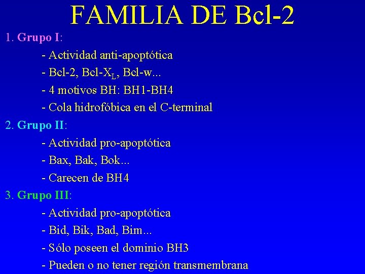 FAMILIA DE Bcl-2 1. Grupo I: - Actividad anti-apoptótica - Bcl-2, Bcl-XL, Bcl-w. . FAMILIA DE Bcl-2 1. Grupo I: - Actividad anti-apoptótica - Bcl-2, Bcl-XL, Bcl-w. .