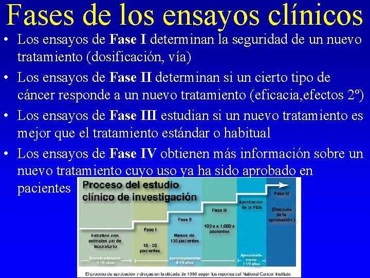 Fases de los ensayos clínicos • Los ensayos de Fase I determinan la seguridad Fases de los ensayos clínicos • Los ensayos de Fase I determinan la seguridad