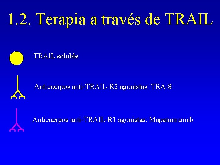 1. 2. Terapia a través de TRAIL soluble Anticuerpos anti-TRAIL-R 2 agonistas: TRA-8 Anticuerpos 1. 2. Terapia a través de TRAIL soluble Anticuerpos anti-TRAIL-R 2 agonistas: TRA-8 Anticuerpos