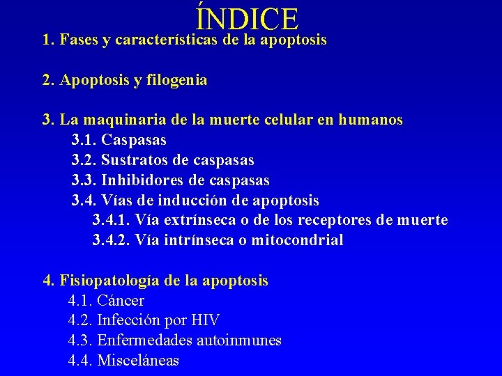 ÍNDICE 1. Fases y características de la apoptosis 2. Apoptosis y filogenia 3. La ÍNDICE 1. Fases y características de la apoptosis 2. Apoptosis y filogenia 3. La